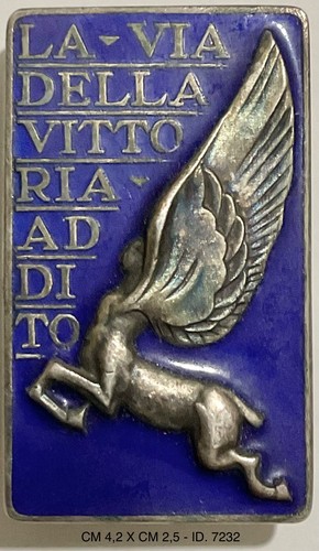 Regia aeronautica distintivo - aeronautica,