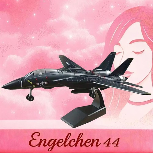Modellino f14 panther jet - f14,