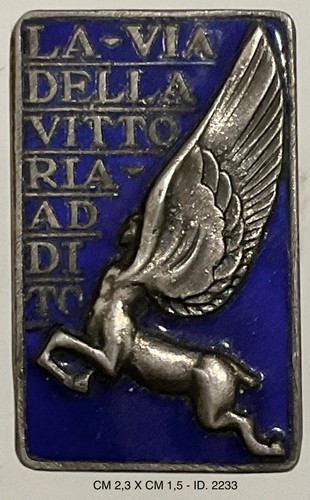 Regia aeronautica distintivo - regia,