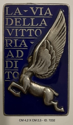 Regia aeronautica distintivo - aeronautica,